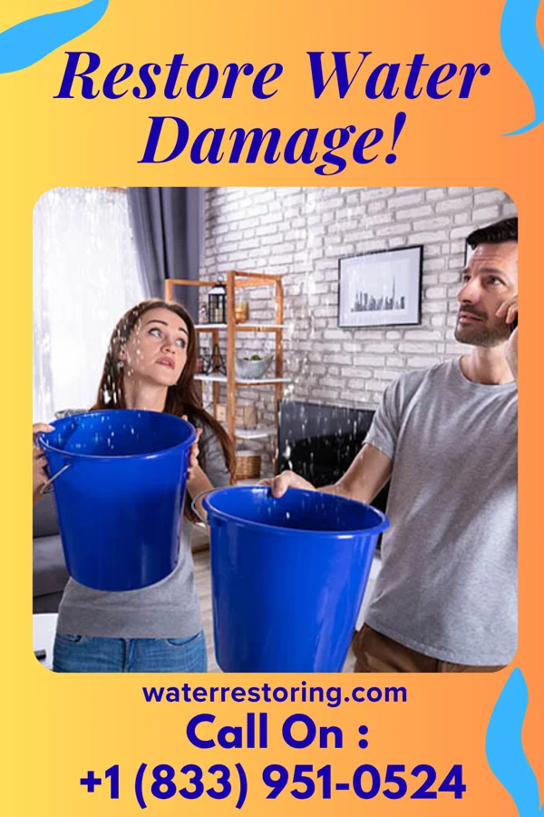 water restoration Ideal Disaster Cleanup Pros Farmville