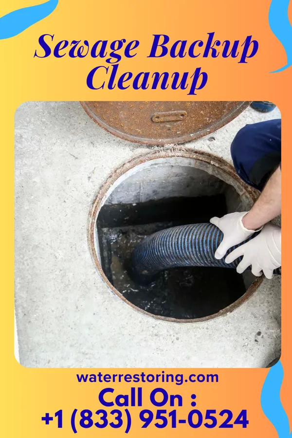 Sewage Backup Cleanup in Farmville, NC