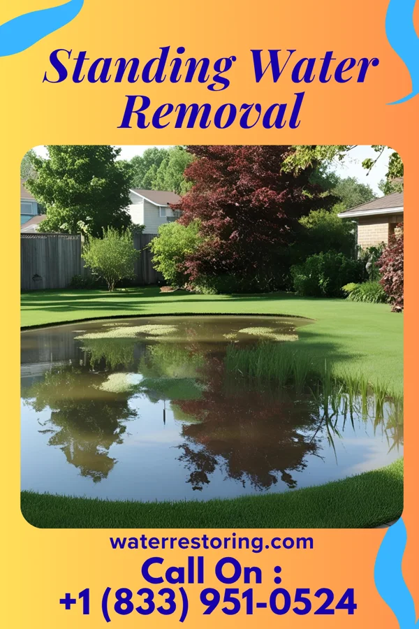 Standing Water Removal in Farmville, NC